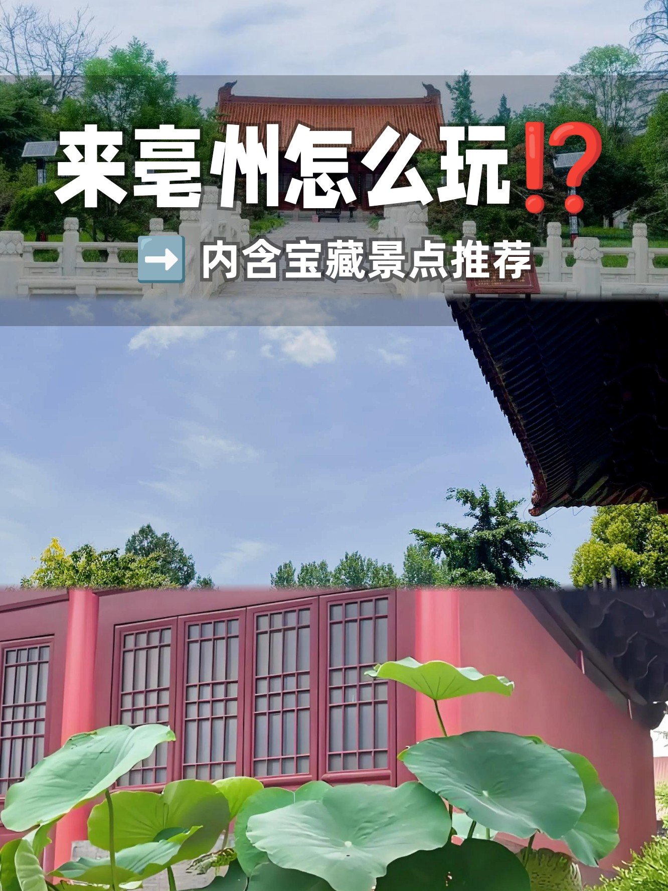 🕍天静宫｜道家圣地，老子故里（涡阳）