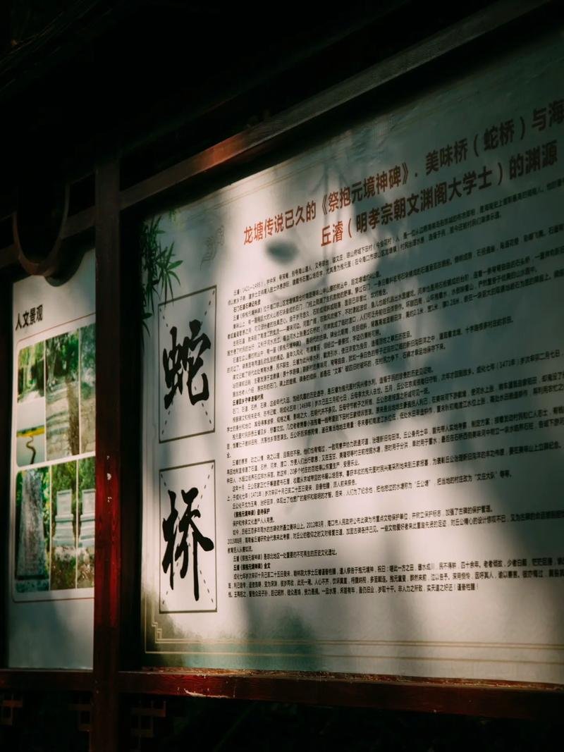 龙塘蛇桥🌿一年只露数月的火山古石桥｜野趣打卡宝藏