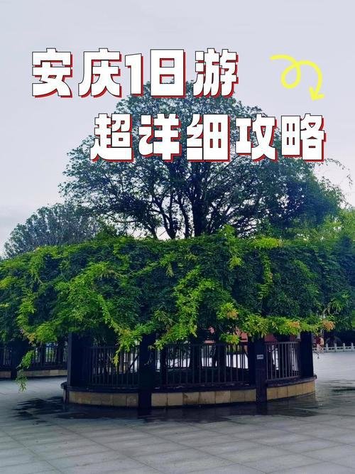 桐城文庙 + 六尺巷🏮文都灵魂！一纸家书传美德，书香古风打卡