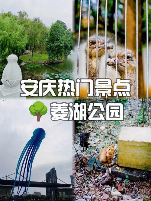 菱湖公园💧安庆老牌免费城市园林，湖景亭台本地人后花园