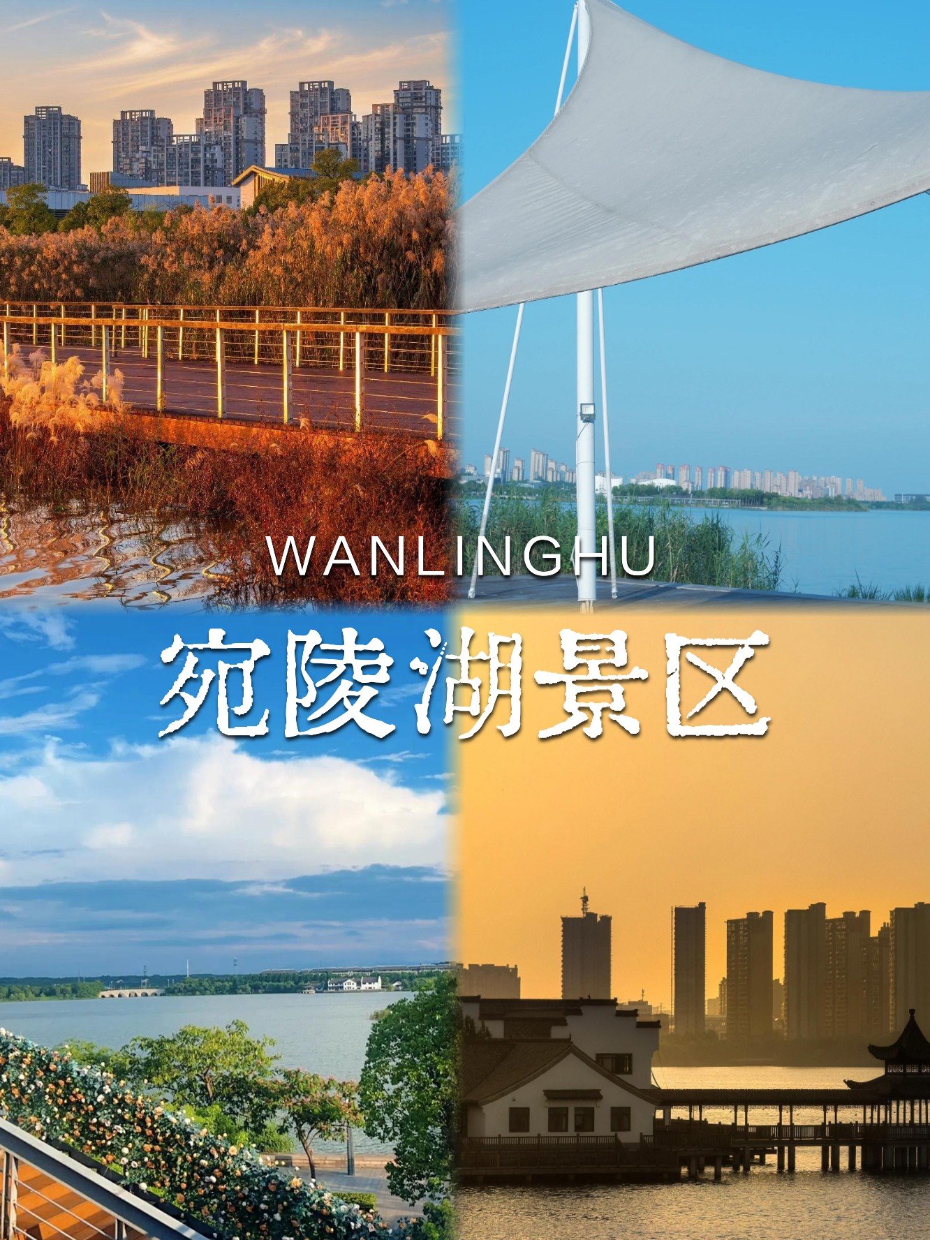 宛陵湖🌅｜城市中央绿心，四季皆有美景