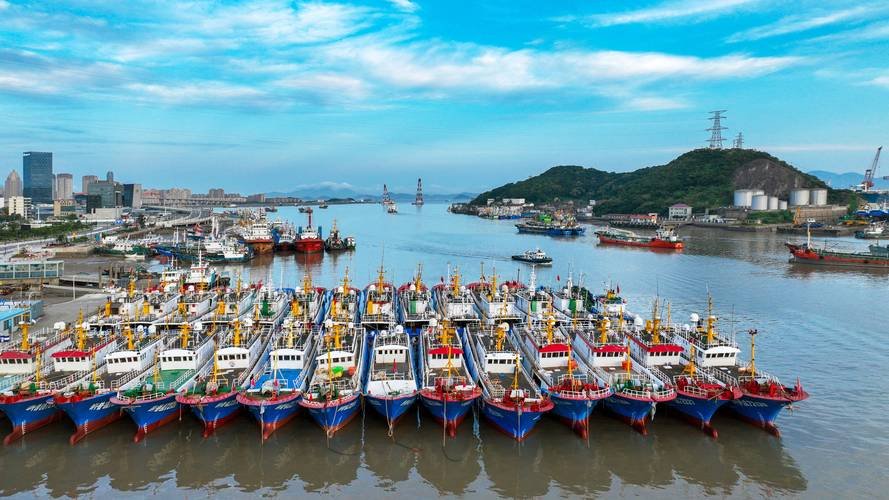 崖州中心渔港🐟最新鲜海鲜｜码头现吃超划算