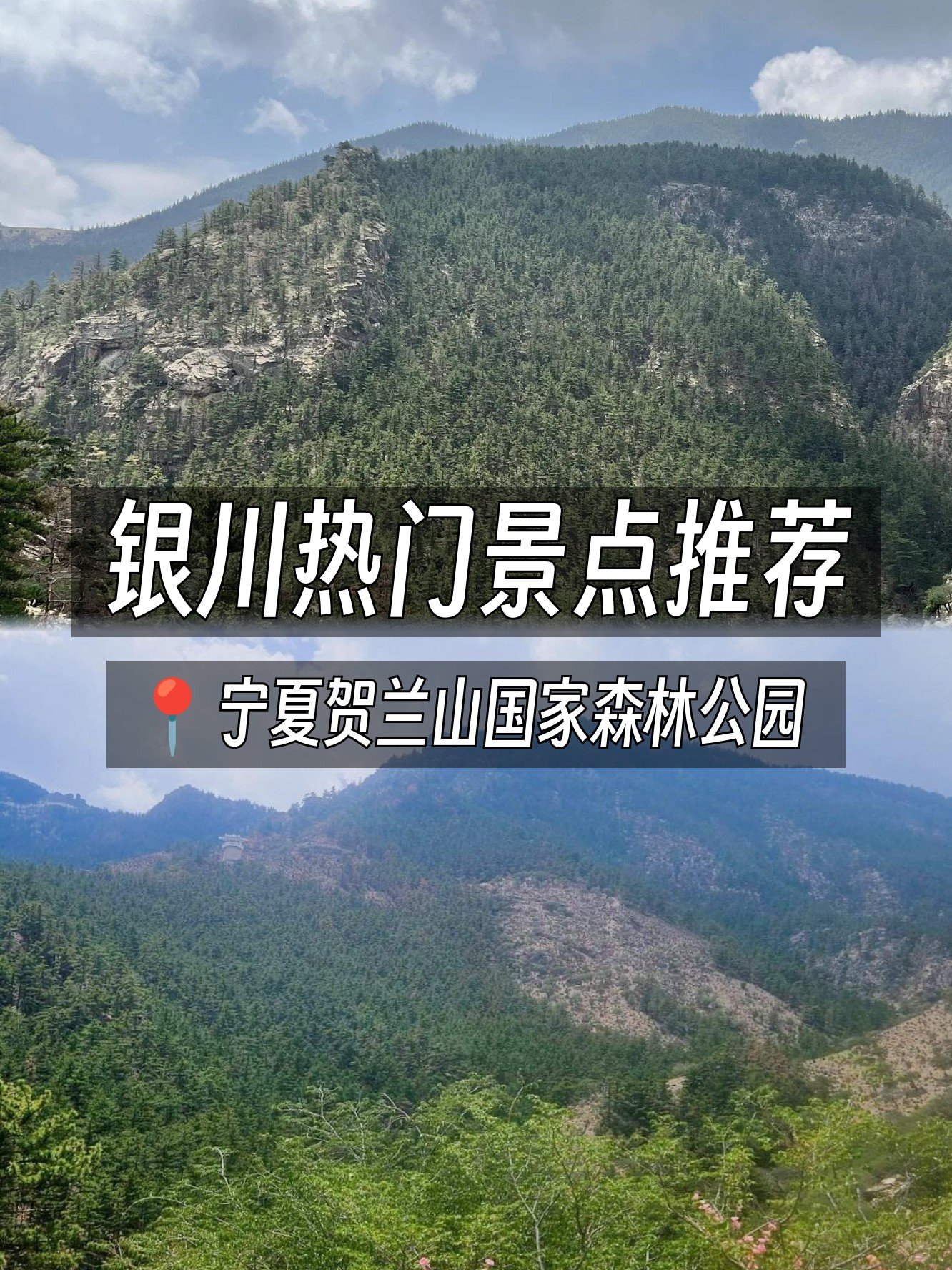🏞️贺兰山森林公园｜山林间的天然氧吧🌲