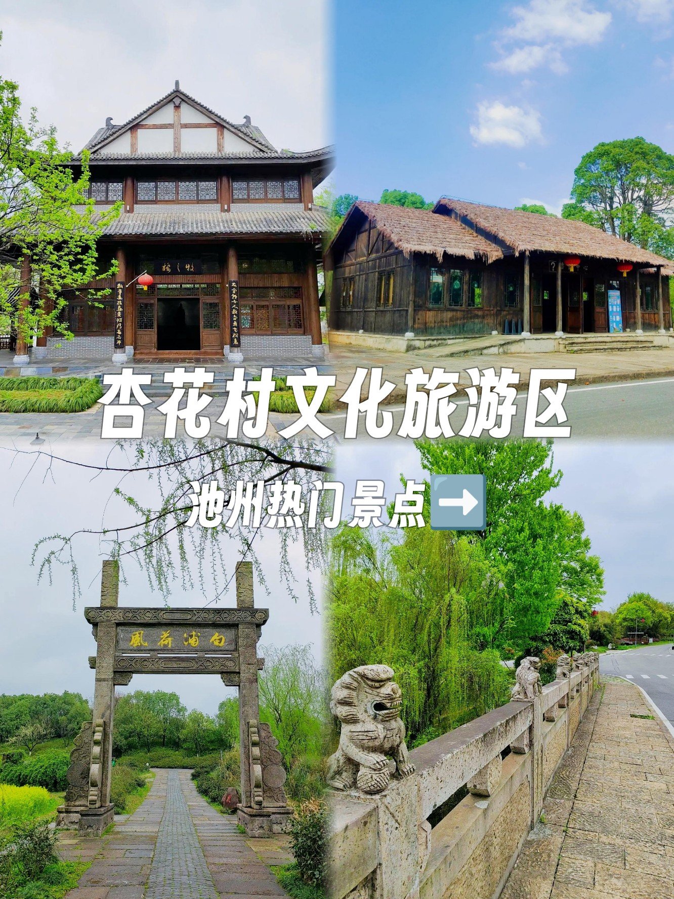 🌸杏花村｜杜牧诗里的千年诗村🎐
