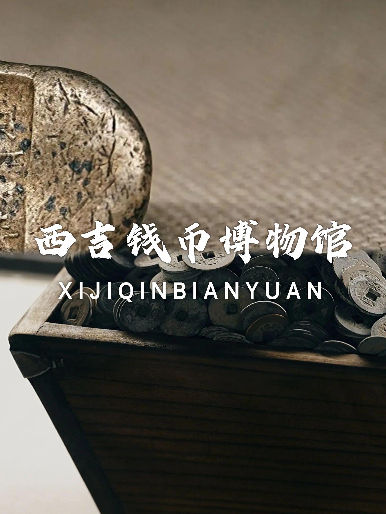 💰西吉钱币博物馆｜钱币秘境·穿越千年货币史📜