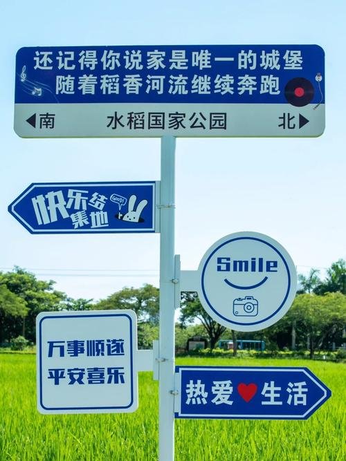 水稻国家公园咖啡🌾三亚稻田咖啡｜吹着稻浪喝咖啡