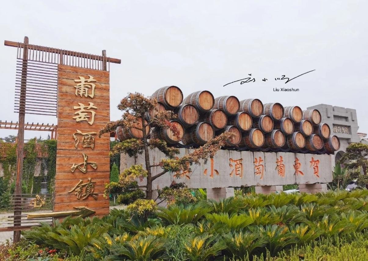 🌄贺东葡萄酒小镇｜贺兰山下的微醺浪漫🍷