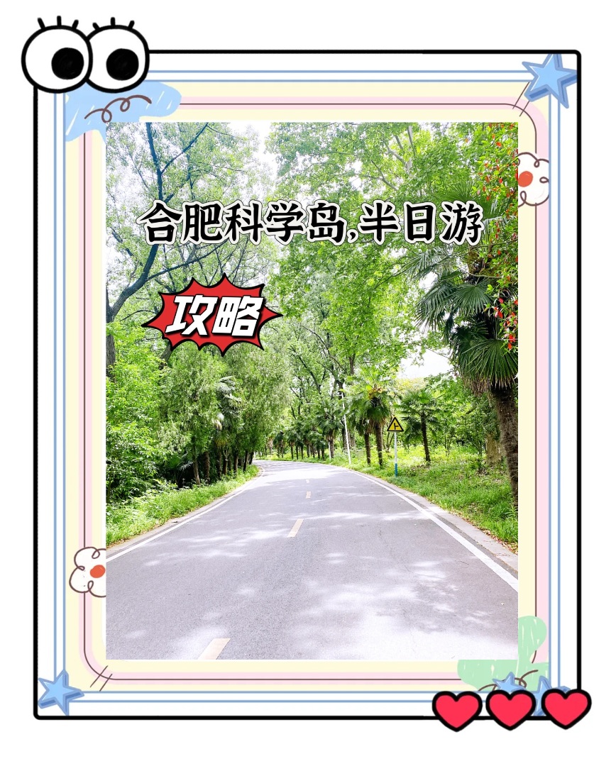科学岛｜中科院科研小岛湖景治愈小众打卡地🔬
