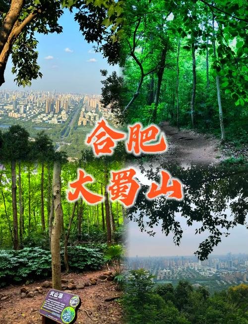 大蜀山国家森林公园｜城市天然氧吧免费爬山吸氧🌲