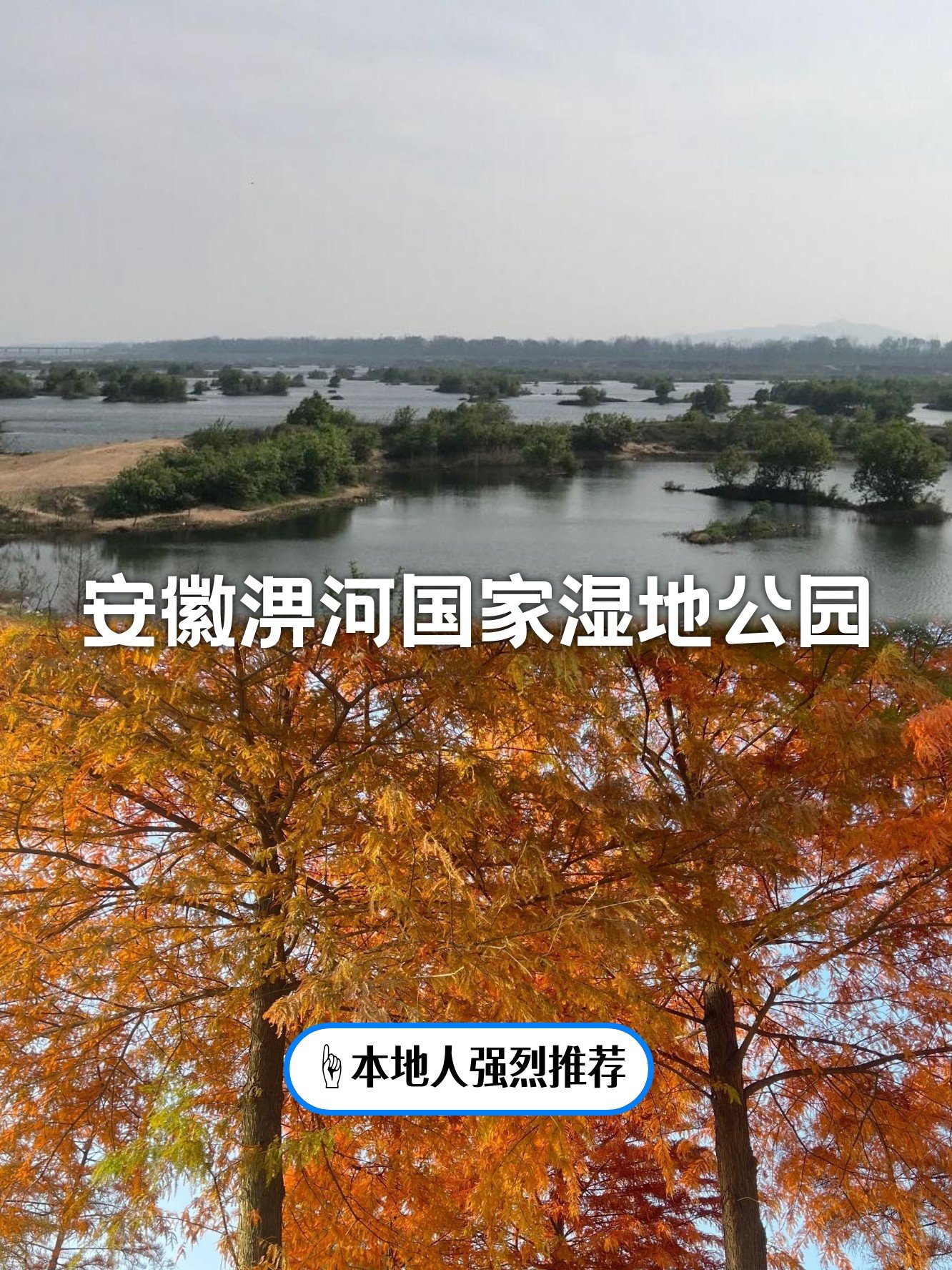 淠河湿地公园🌊｜六安母亲河，散步骑行超治愈💙