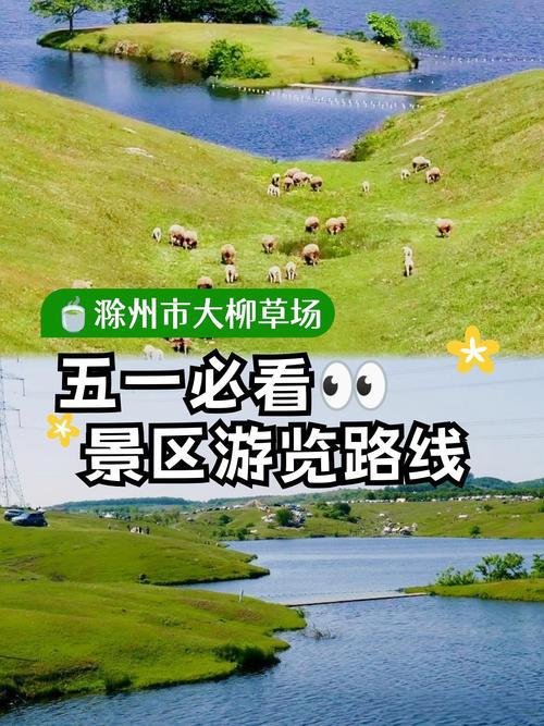 大柳草原｜皖东呼伦贝尔🐑