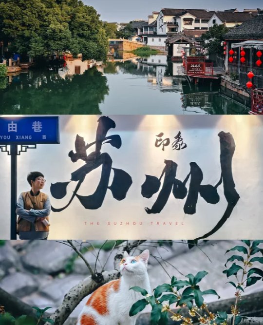 苏州大学✨｜颜值实力双在线，江苏最美大学