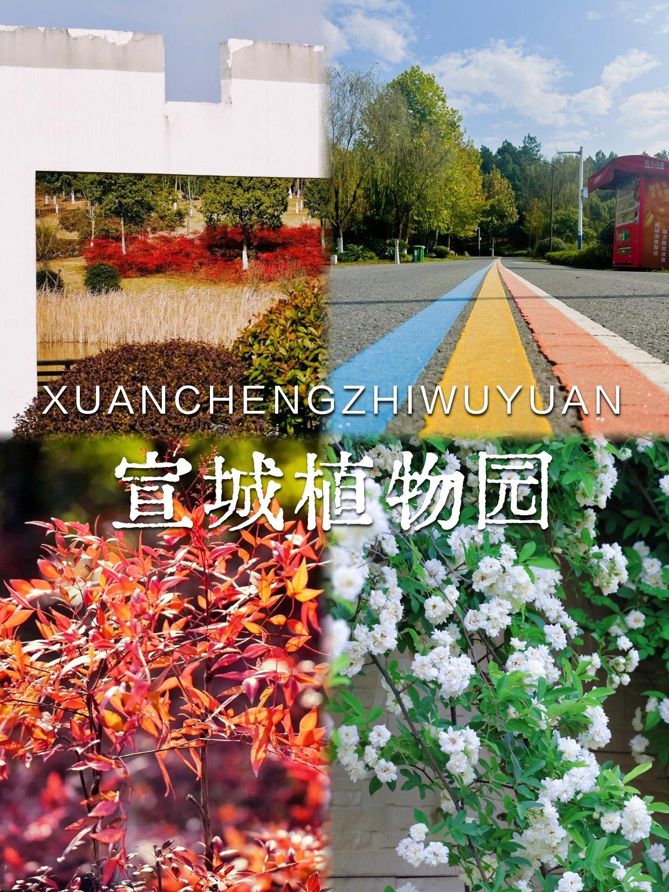 宣城市植物园🌺｜植物百科乐园，科普休闲两不误