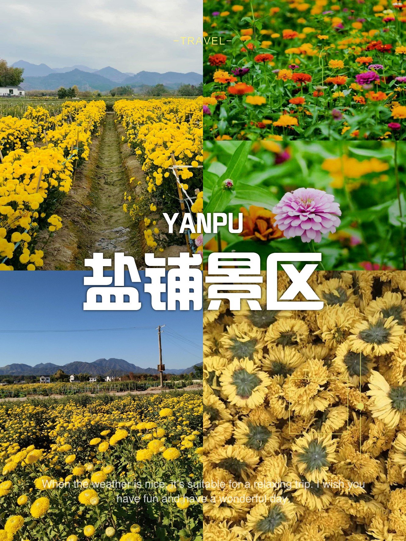 盐铺景区🏵️｜皖南水韵菊香，治愈田园秘境