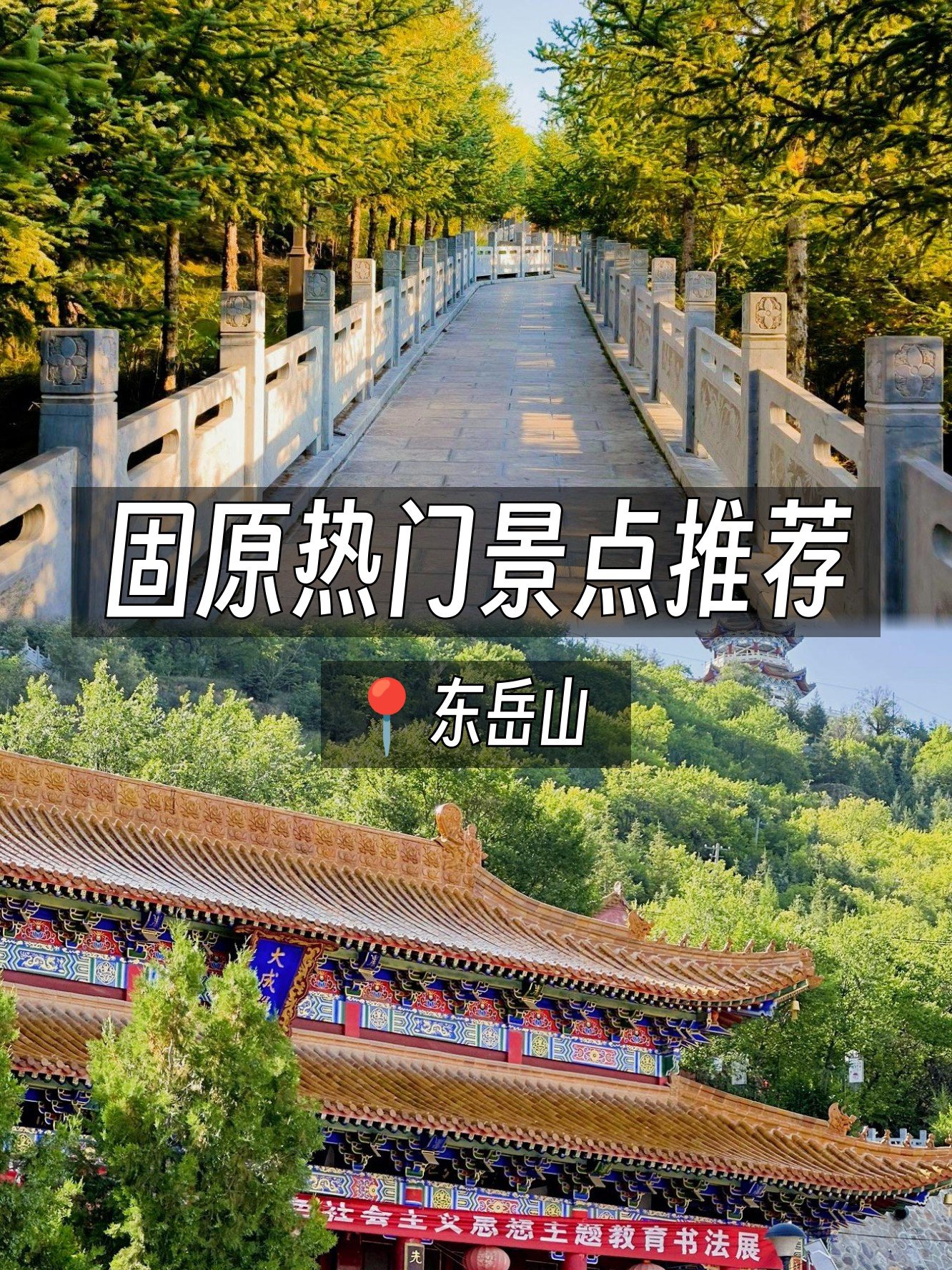 ⛰️东岳山｜固原文化第一山·登顶俯瞰全城🌆