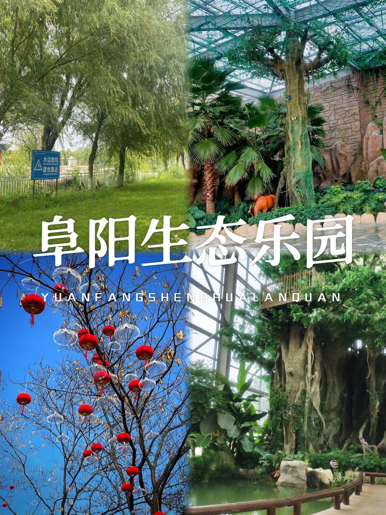 🎡阜阳生态乐园｜亲子遛娃天花板，萌宠+游乐全搞定