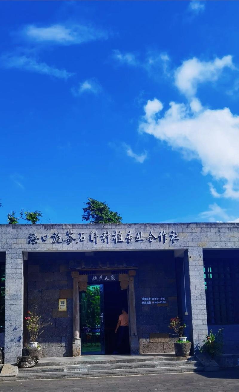 火山石斛园🌿羊山小众康养园区｜火山石上种仙草