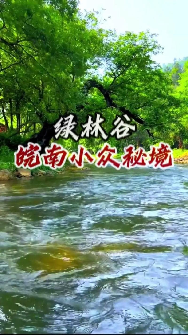 绿林谷景区🏡｜山林木屋民宿，隐居世外桃源