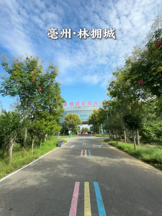🌳林拥城景区｜皖北小江南，遛娃吸氧圣地
