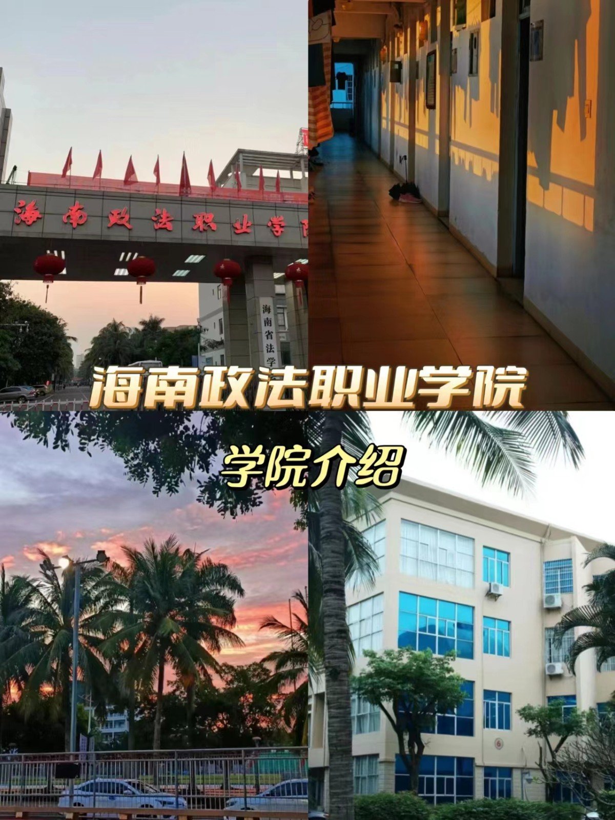 海南政法职业学院｜政法专科标杆院校⚖️