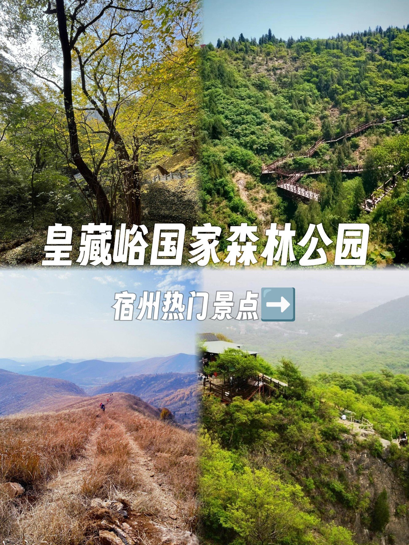 皇藏峪国家森林公园🌳｜刘邦藏身的皖北秘境