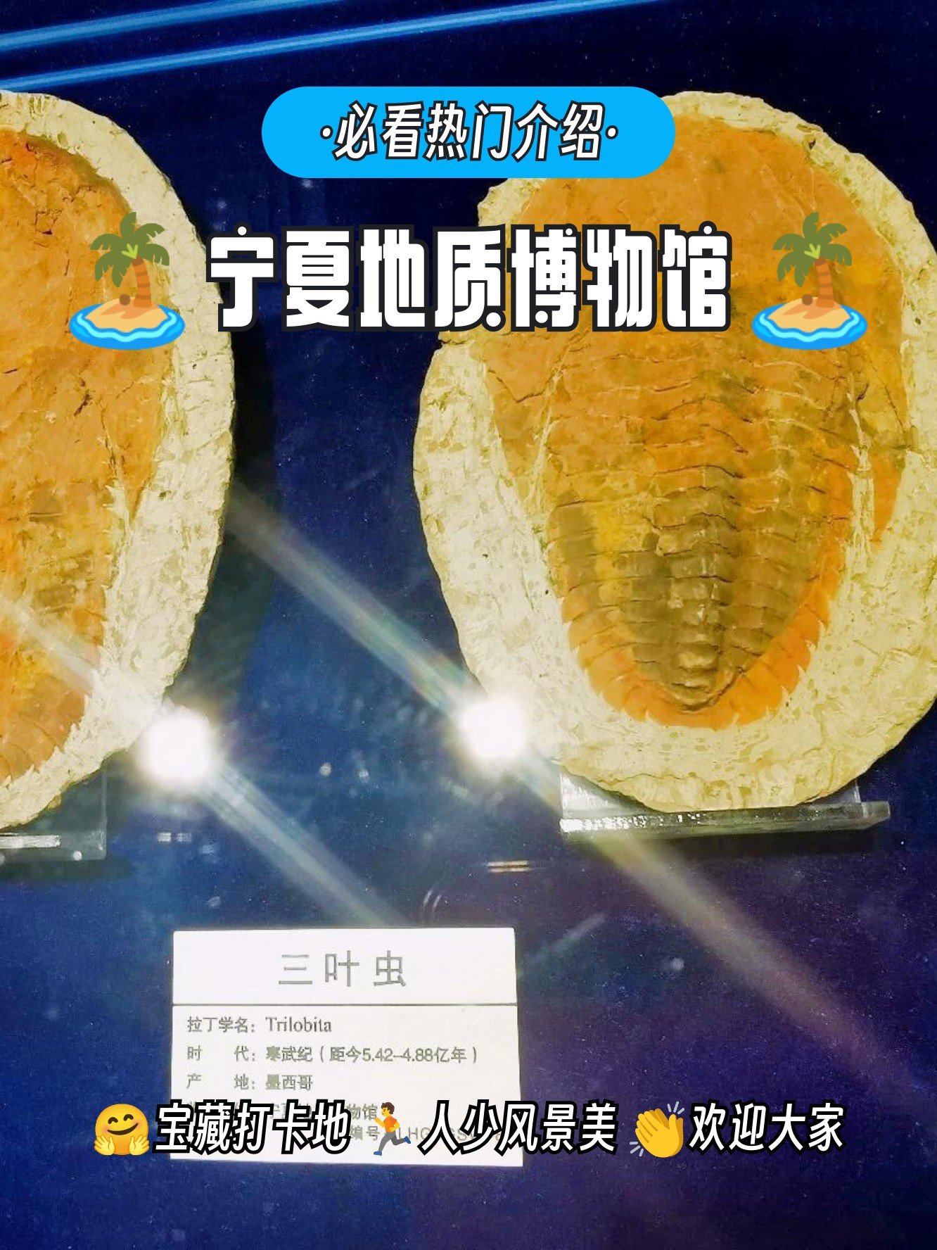 🦖宁夏地质博物馆｜探索地球奥秘🔬