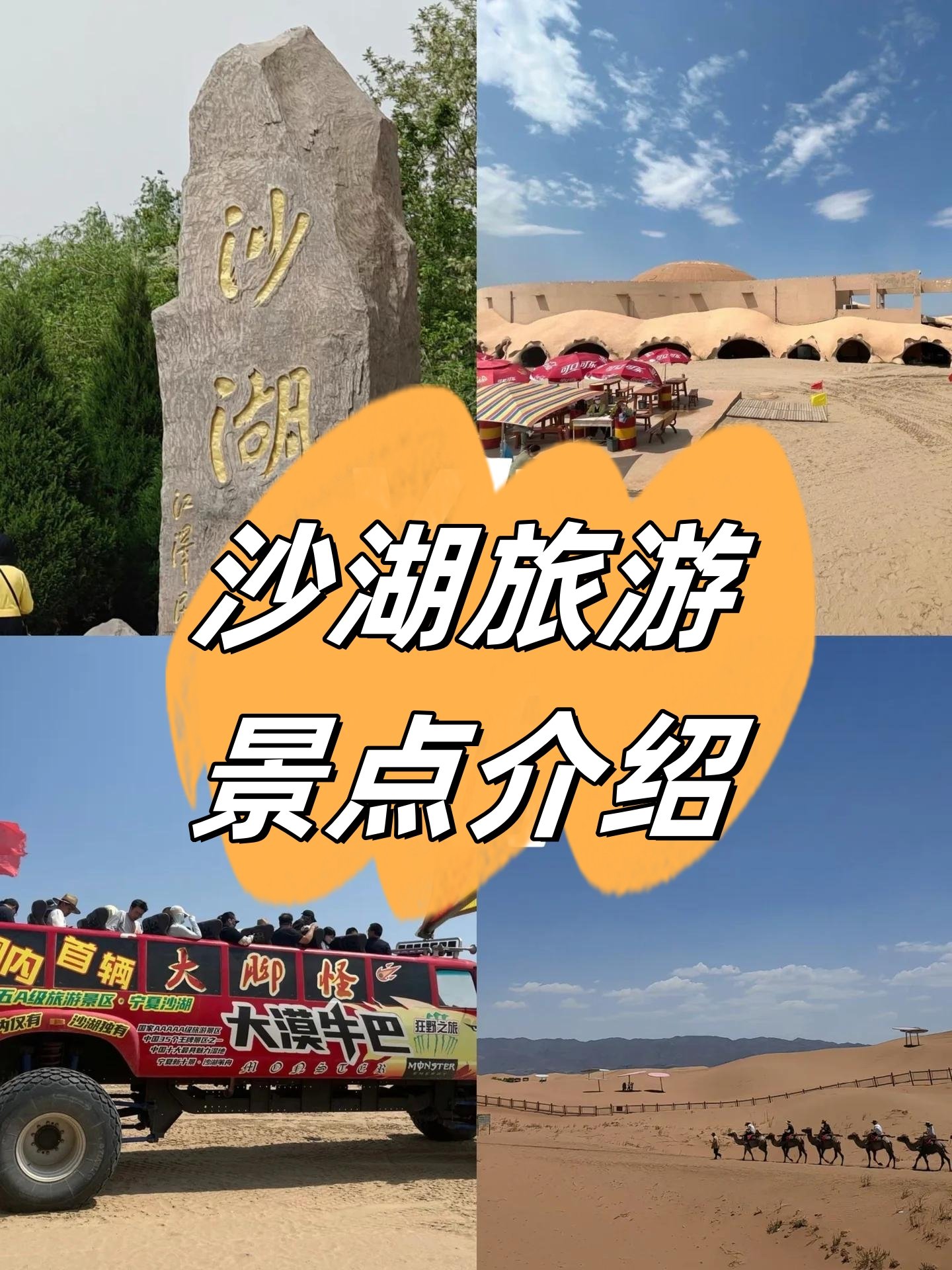 🌊沙湖生态旅游区｜沙水共生的塞上明珠💥
