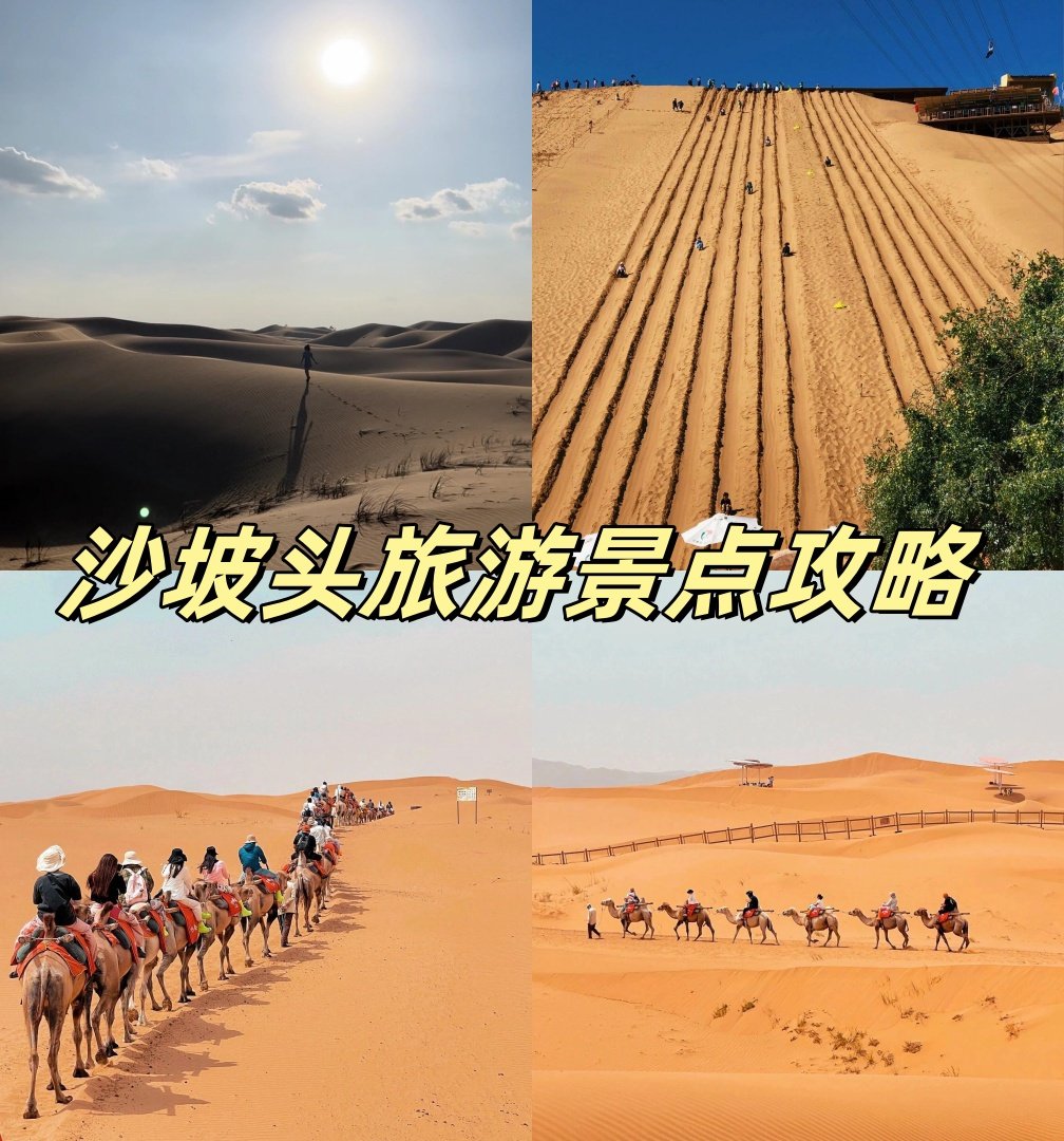 🏜️沙坡头｜一半黄河一半沙漠的5A奇观