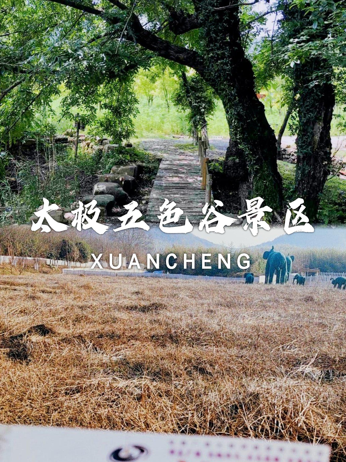 太极五色谷🌸｜竹艺+花海，趣味亲子游玩地