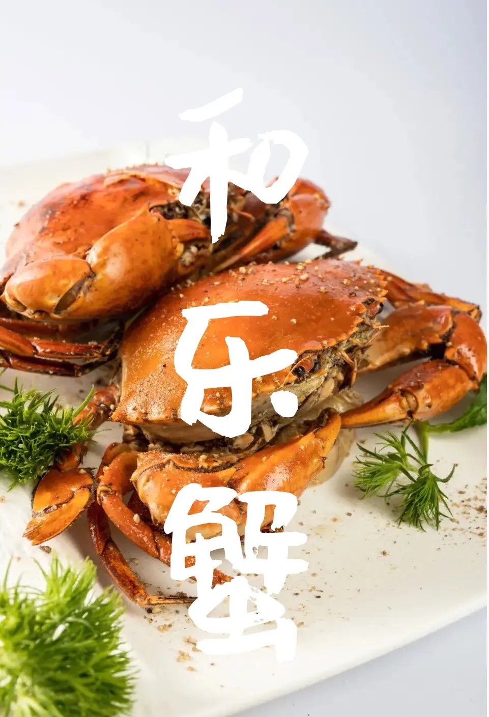 🦀和乐蟹｜海南四大名菜，膏满肉鲜到尖叫
