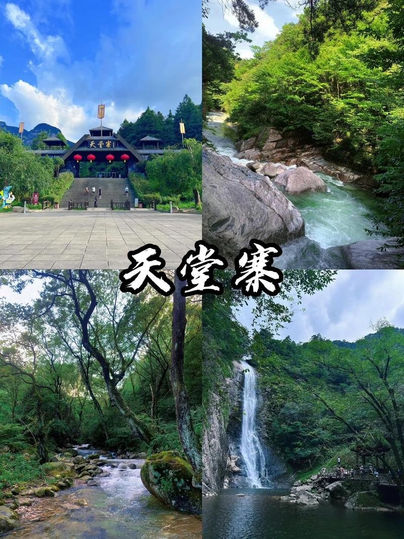 天堂寨🌲｜华东最后一片原始森林，皖鄂一脚跨✨