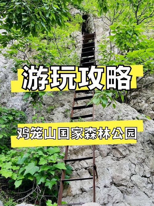 鸡笼山国家森林公园⛰️和县山林秘境，登山祈福 + 天然氧吧