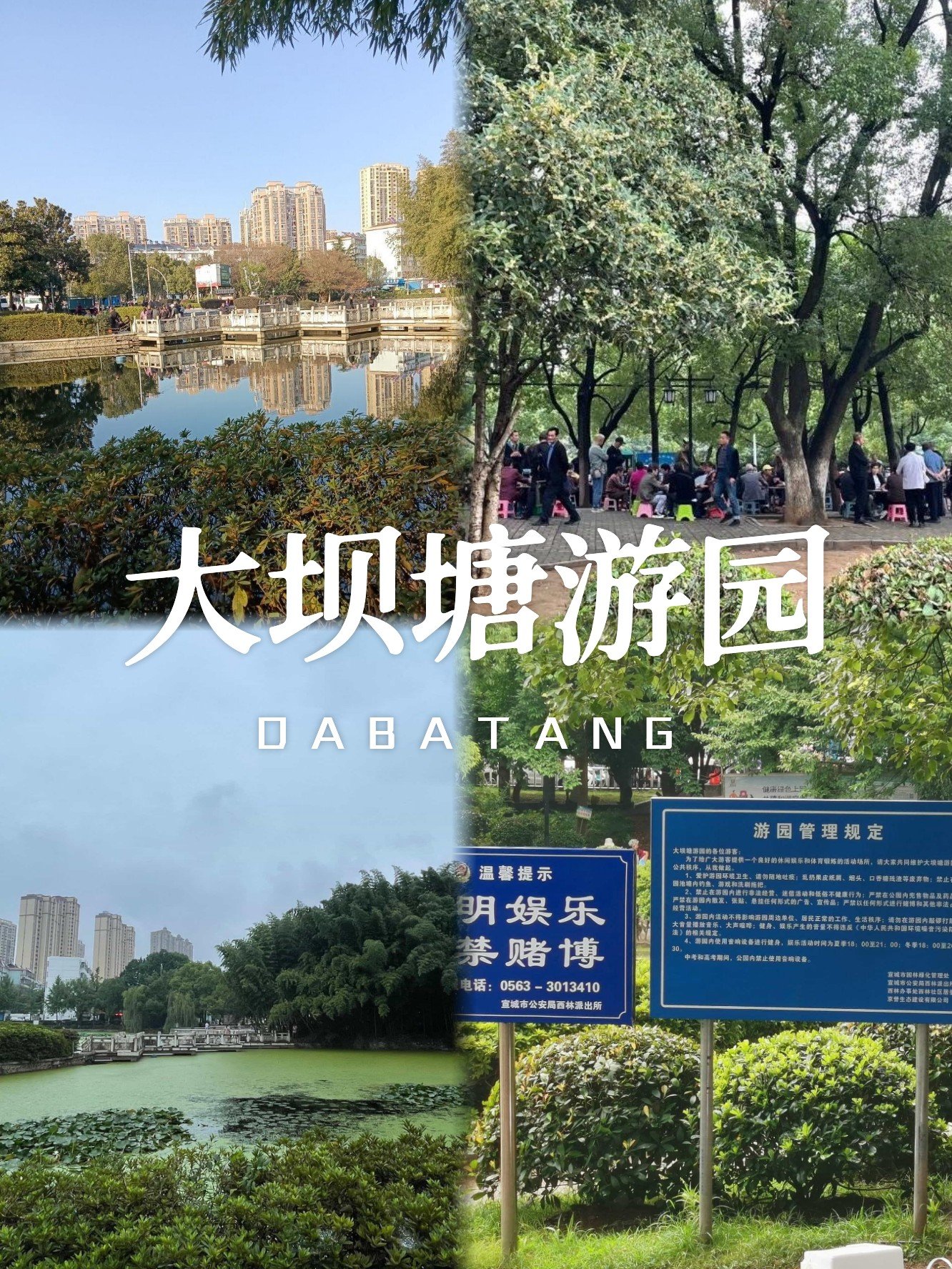 大坝塘游园🏞️｜城区小巧游园，闹中取静好去处