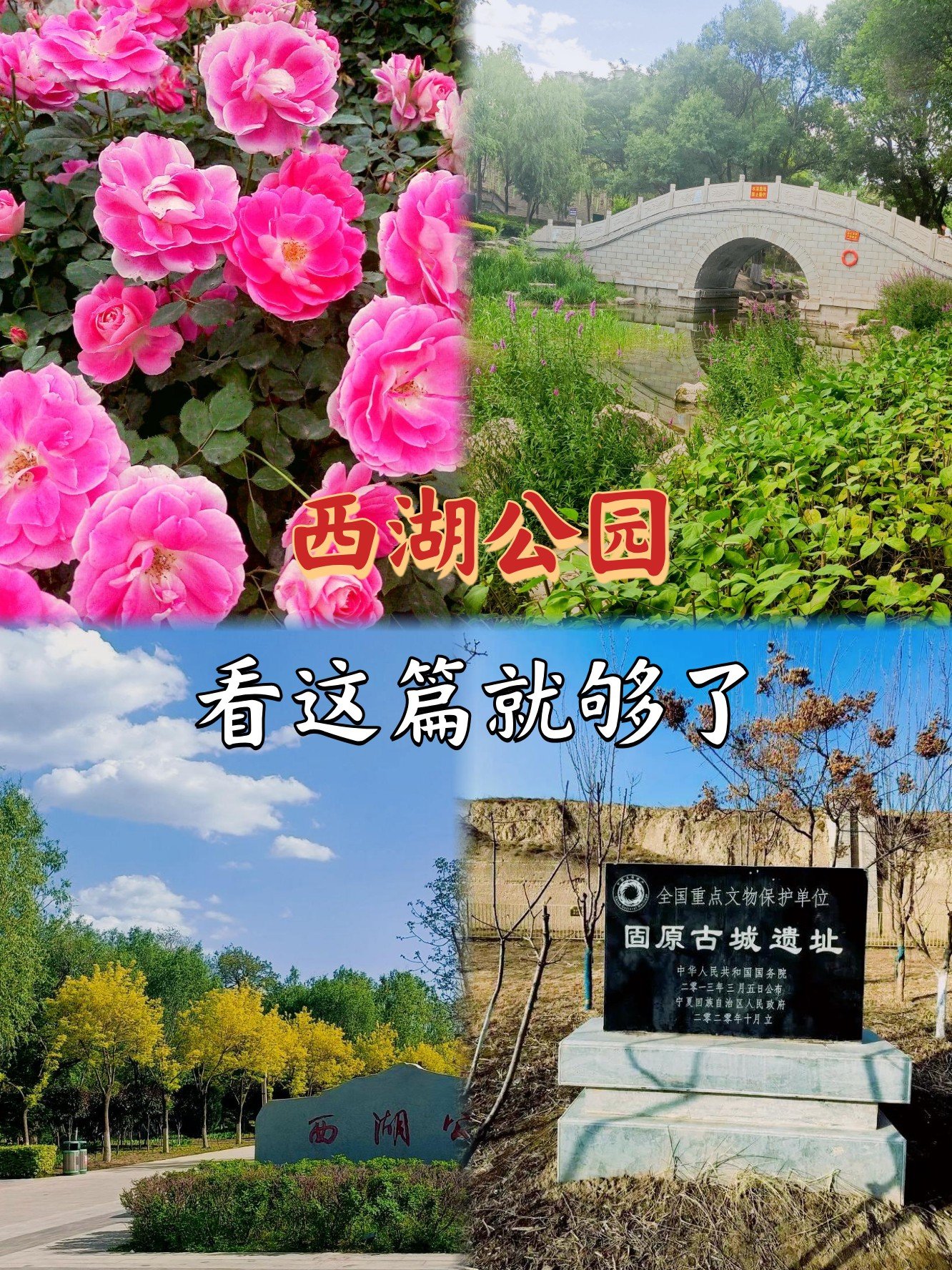 🌇固原西湖公园｜塞上明珠｜3000亩水域美如画🦢