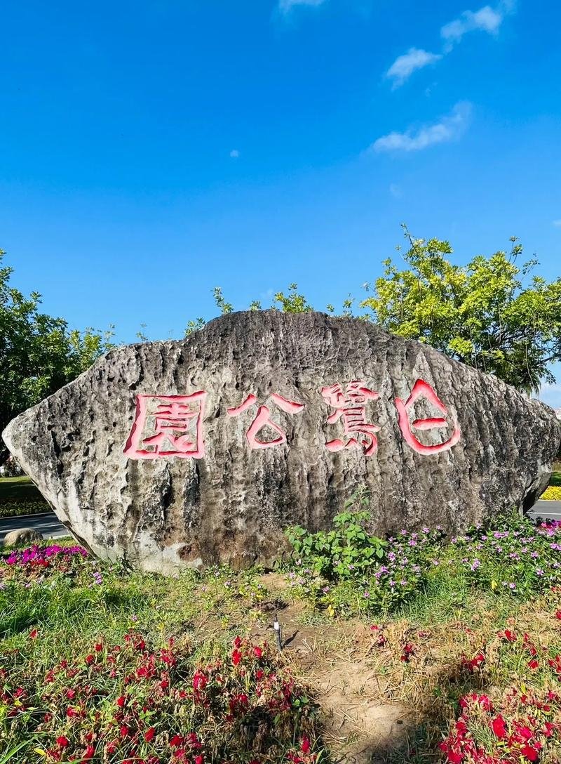 白鹭公园🌳城市森林秘境｜日落骑行超治愈
