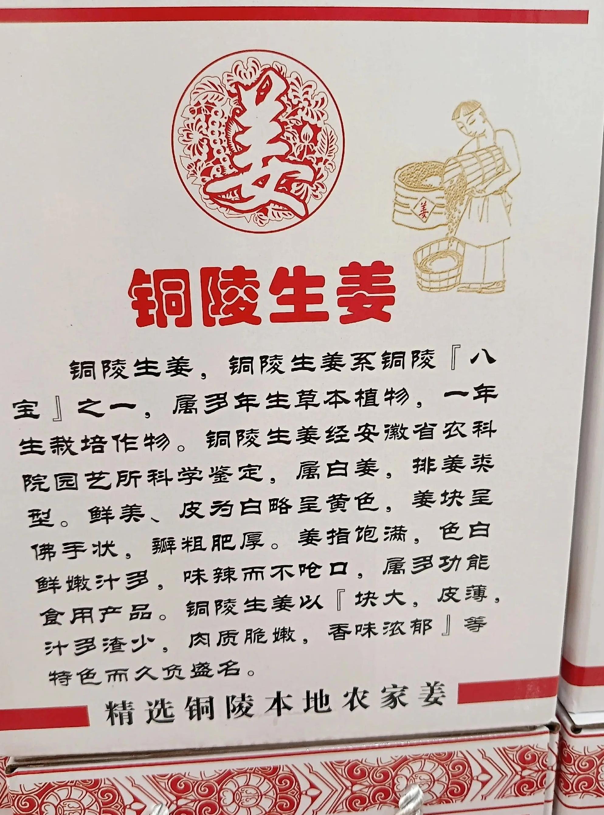 铜陵白姜✨｜姜中爱马仕，脆嫩无渣超开胃