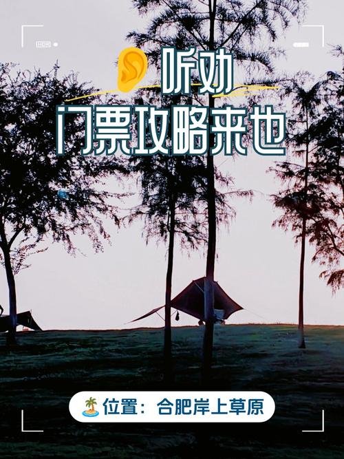 岸上草原｜合肥小伊犁超大治愈草坪☁️