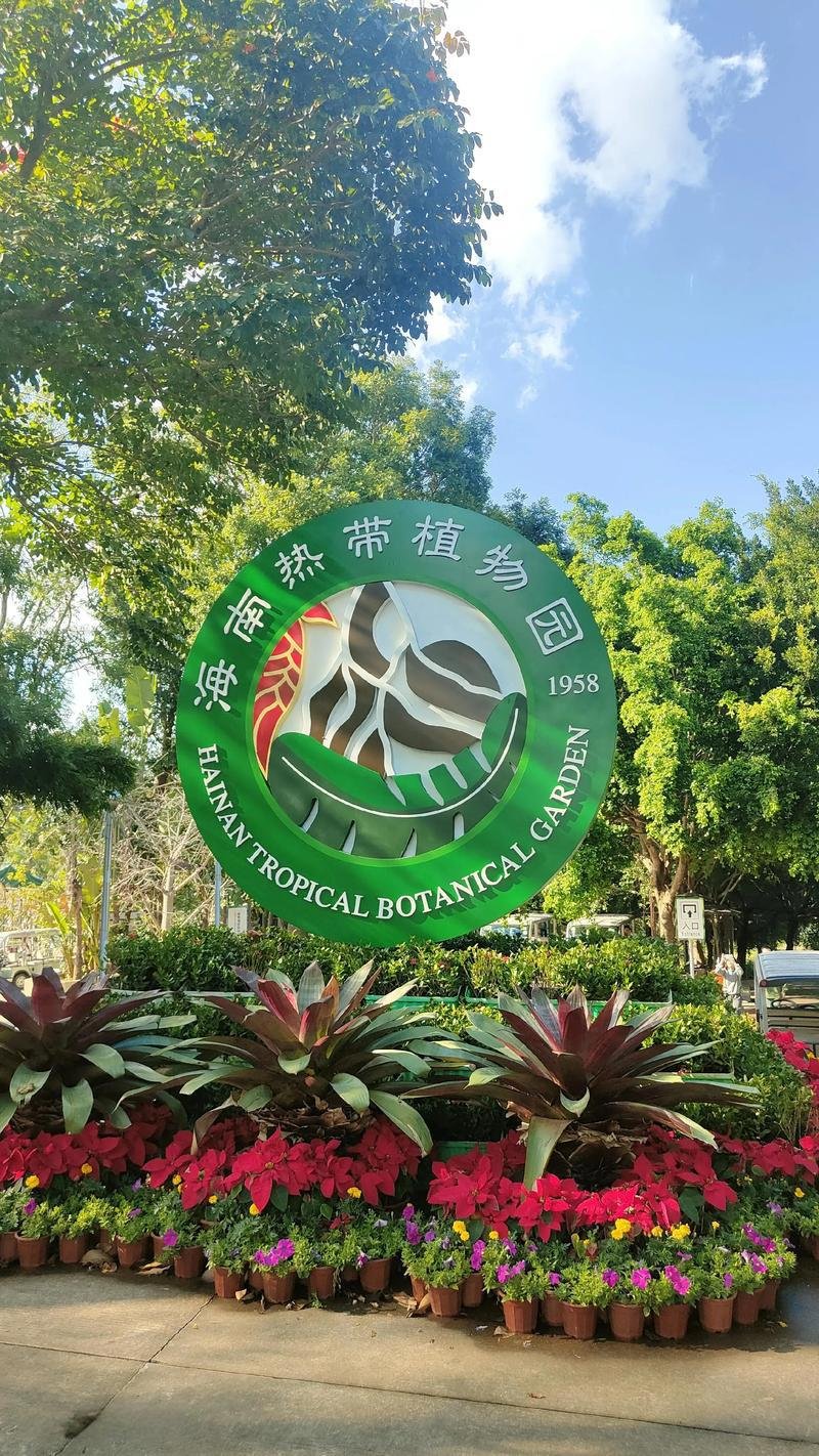 🌴海南热带植物园｜热带雨林科普天堂