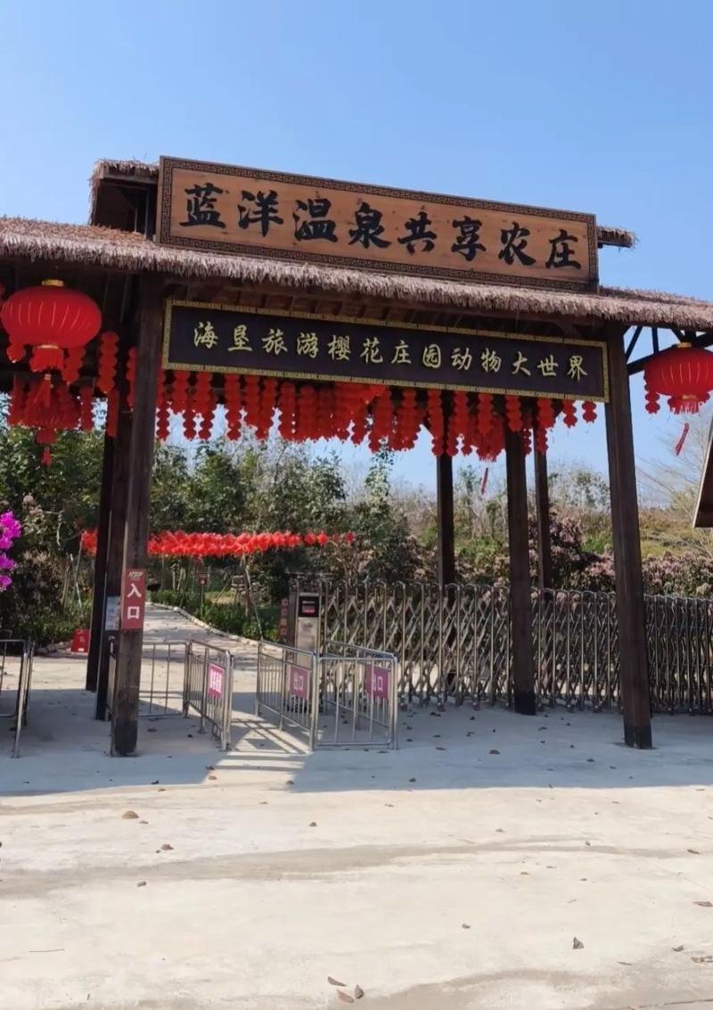 🌸海垦旅游樱花庄园｜四季花海，动物互动乐园