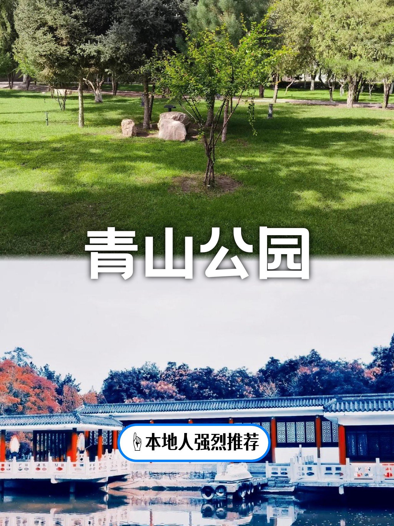 🏞️青山公园｜市区小众街心公园，治愈日常🌳