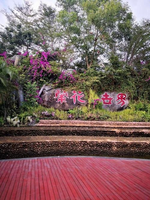 兰花世界🌸万株兰花秘境｜仙气花海