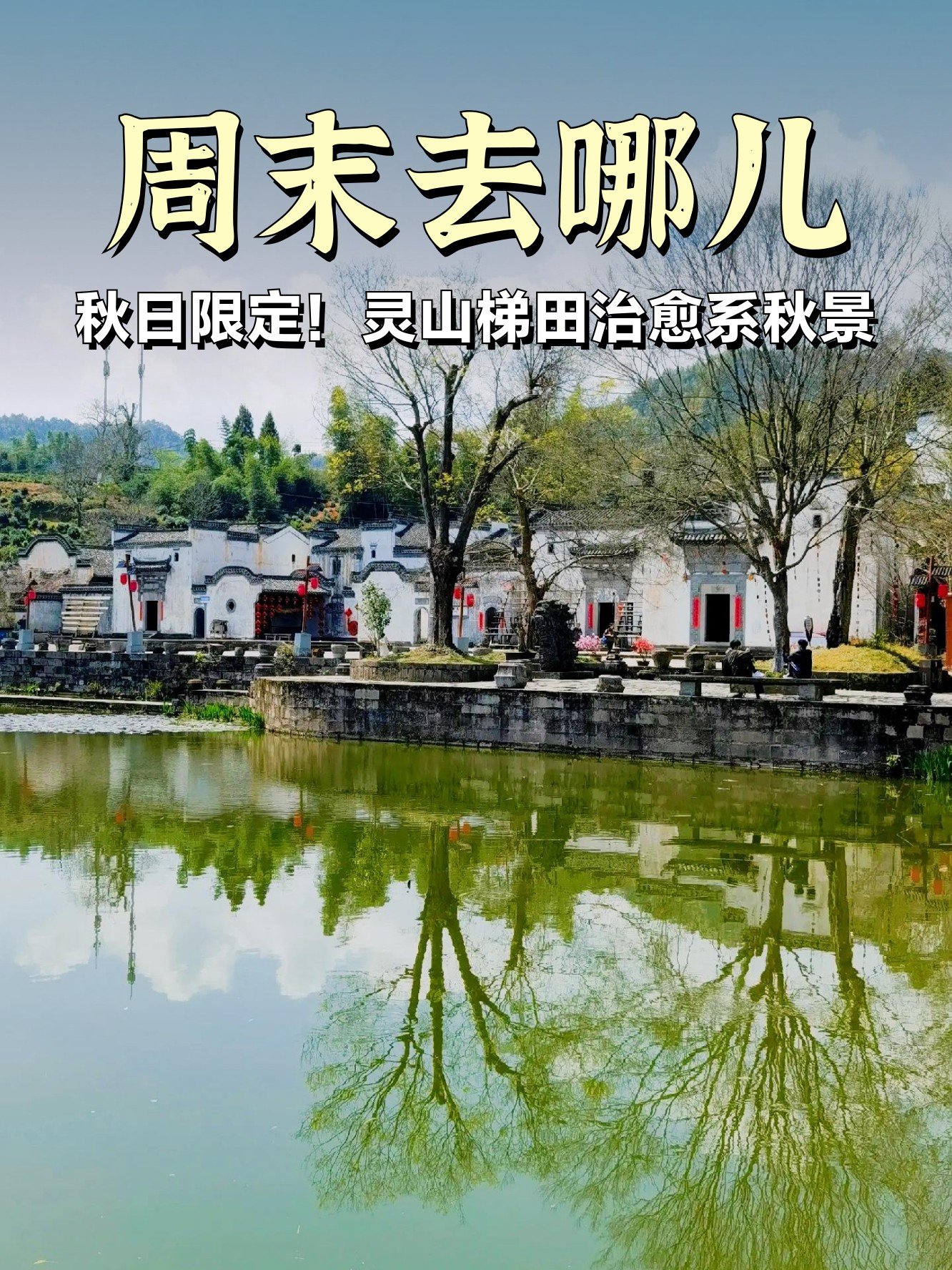 灵山梯田🌾｜山间流动的金色波浪