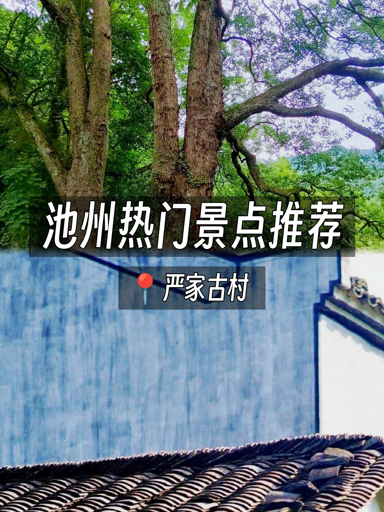 🏡严家古村｜牯牛降里的静谧徽派古村