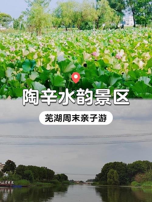 陶辛水韵🪷万亩荷塘江南水乡，夏日赏荷泛舟绝美