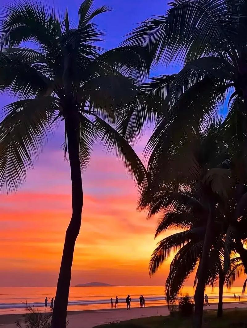 🌴东郊椰林｜文昌椰乡天花板，治愈感拉满