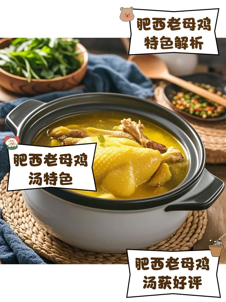 🐔老鸡汤精华｜肥西老母鸡汤