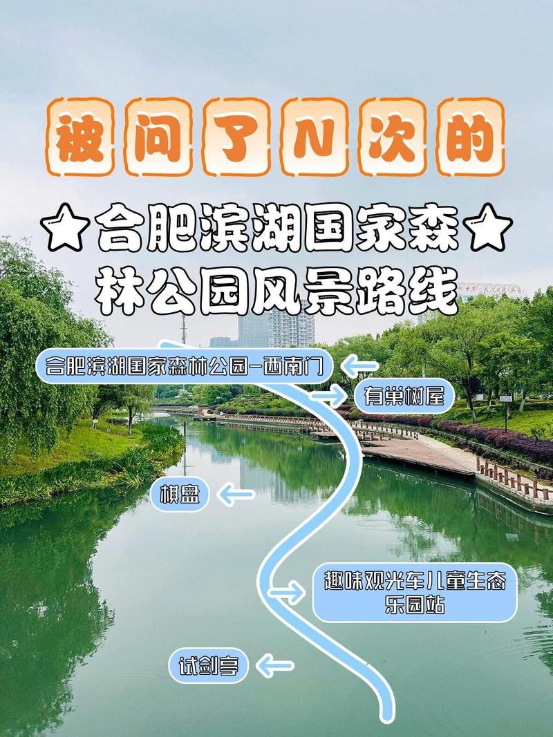 滨湖国家森林公园｜华东超大湿地森林骑行仙境🚲