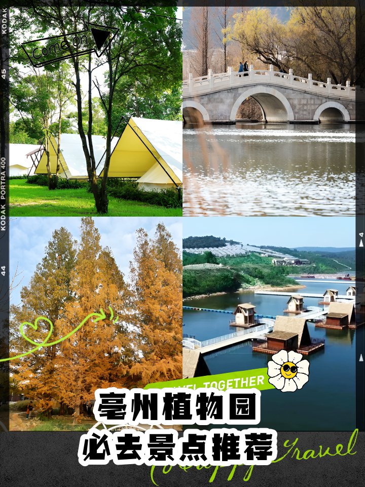 🌸亳州植物园｜四季花海，亲子遛娃胜地