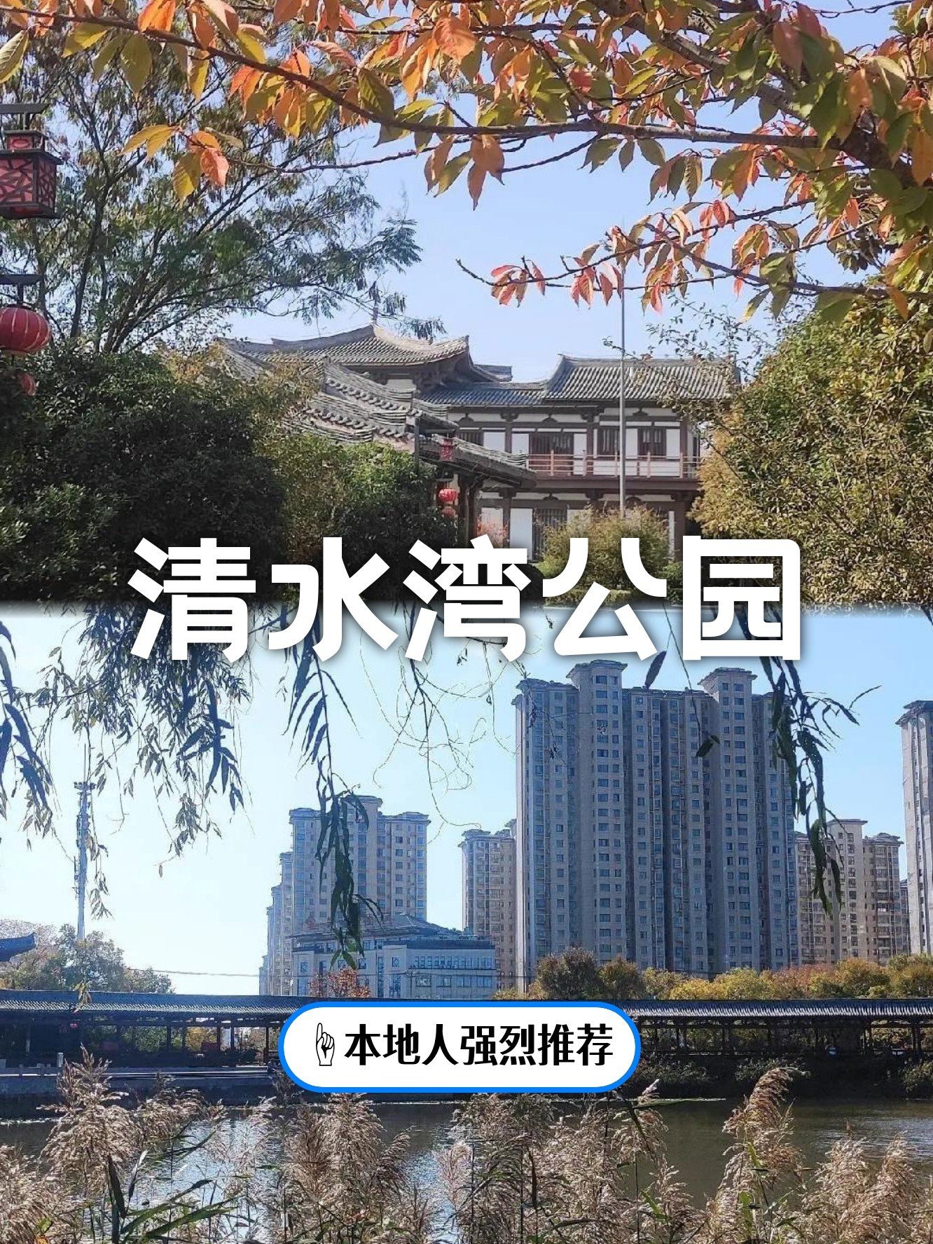 泗县清水湾公园🌸｜花海环绕的休闲秘境