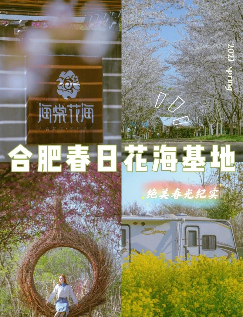 海棠花海景区｜北城四季花海踏青拍照宝藏地🌸
